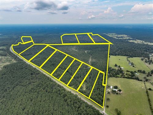18 Acres, T-36, Highway 94, 4552 : Groveton : Trinity County : Texas