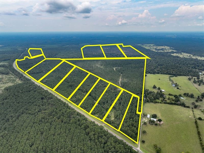 15 Acres, T-37, Highway 94, 4552 : Groveton : Trinity County : Texas