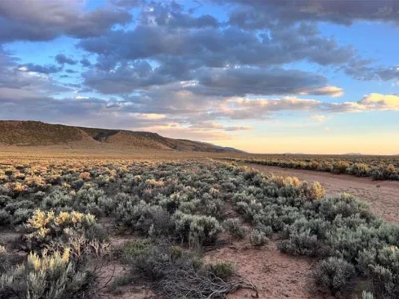 Remarkable 1/4 Acre County Road : San Luis : Costilla County : Colorado