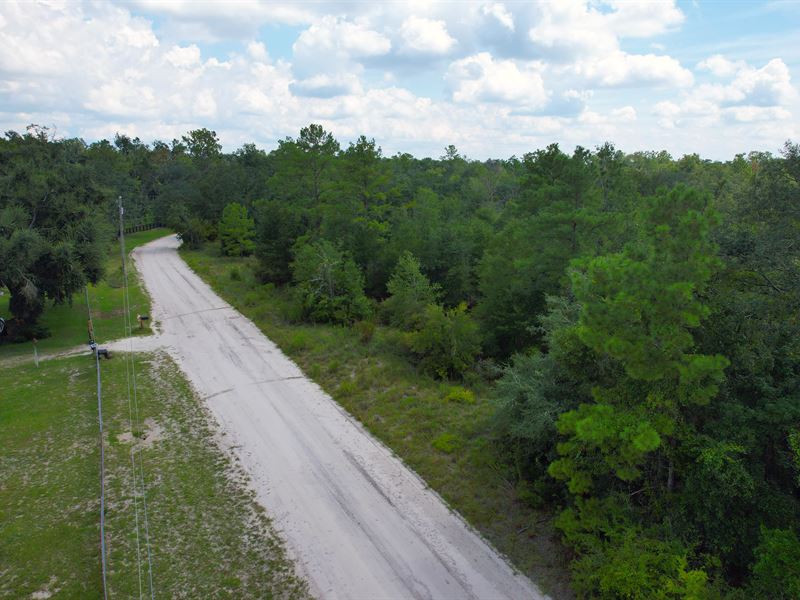 Peaceful Living Near Suwannee River : Live Oak : Suwannee County : Florida