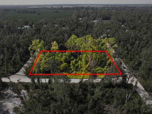 5 Adjacent Lots Totaling 1.34 Acre : Live Oak : Suwannee County : Florida