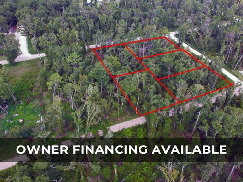 5 Adjacent Lots Totaling 1.34 Acre : Live Oak : Suwannee County : Florida