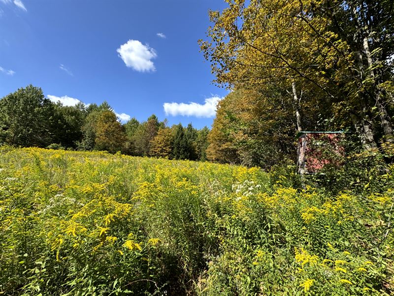 Adjoins Beaver Meadow State Forest : Otselic : Chemung County : New York