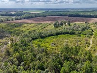 Tract 3 in Pinecone Trail, Mershon : Mershon : Pierce County : Georgia