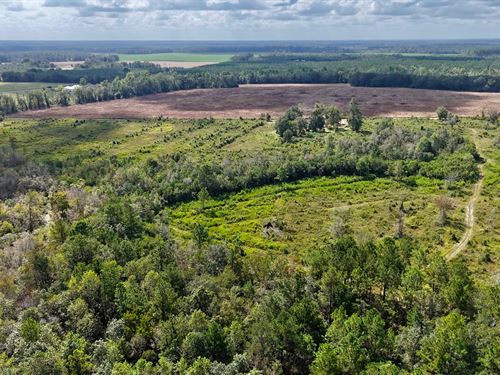 Tract 3 in Pinecone Trail, Mershon : Mershon : Pierce County : Georgia