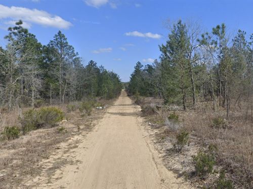 Paradise View Estates Homesite, FL : Interlachen : Putnam County : Florida