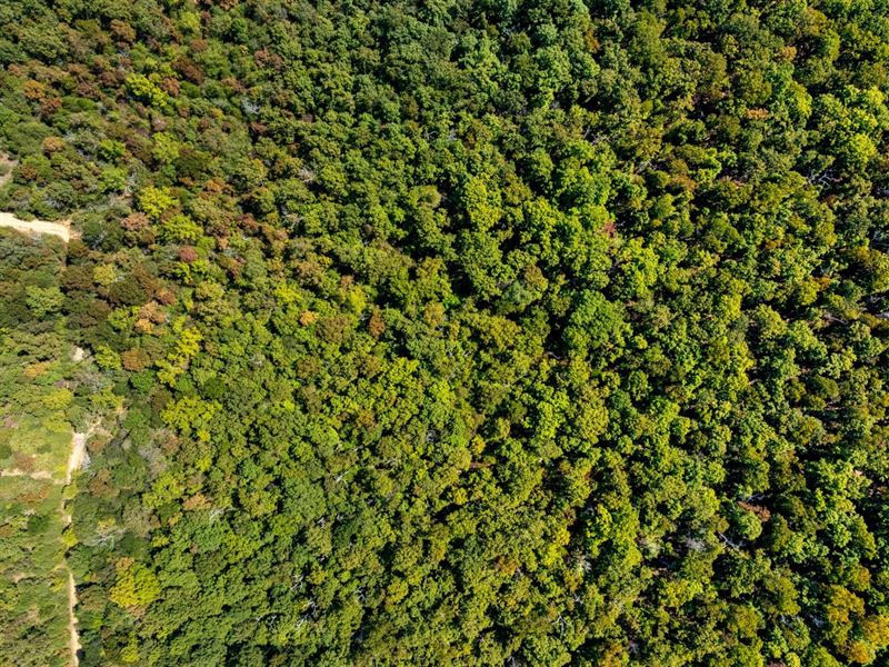 5 Wooded Acres, Wet Weather Cree : Hardy : Fulton County : Arkansas