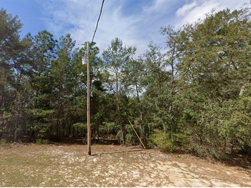 Build, Camp, or Rv, $448/Month : Interlachen : Putnam County : Florida