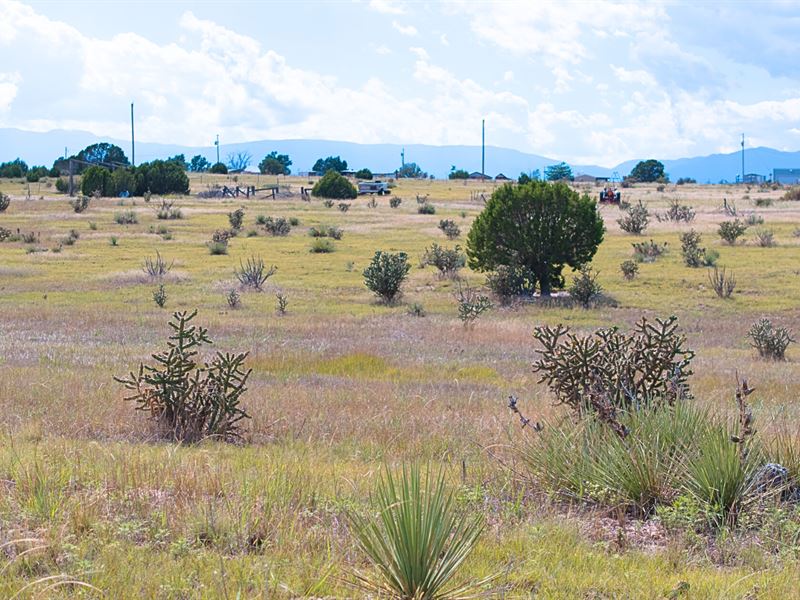 5 Acres, Power, Easy Access to I-25 : Pueblo : Pueblo County : Colorado