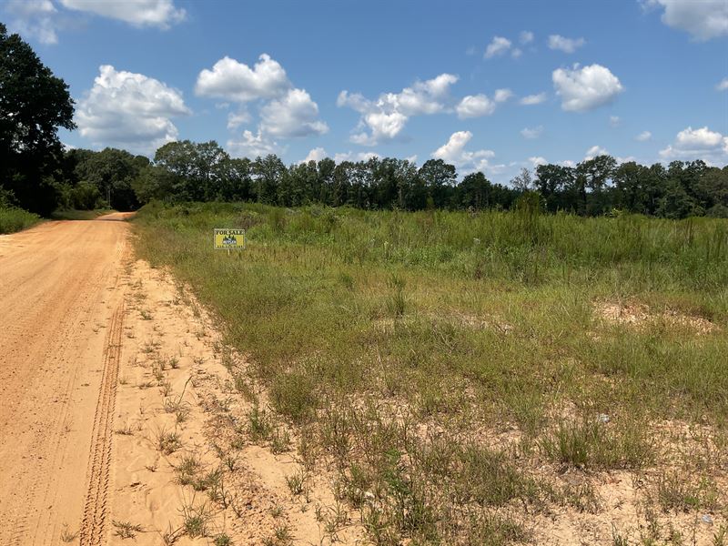 Pond Creek Road North Lots-10 Acres : Luverne : Crenshaw County : Alabama