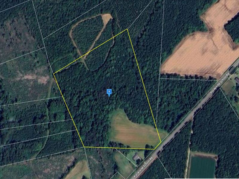 19 Acres in Bladen County NC : Clarkton : Bladen County : North Carolina