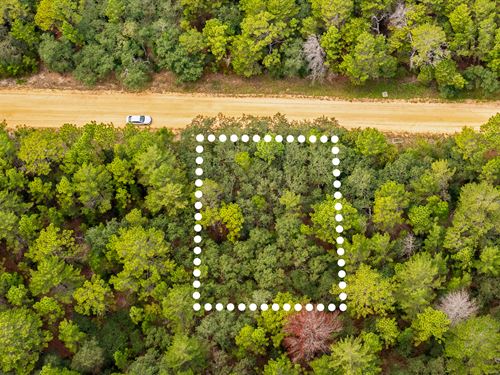 Quiet Lot Mins to Lake Grandin : Interlachen : Putnam County : Florida