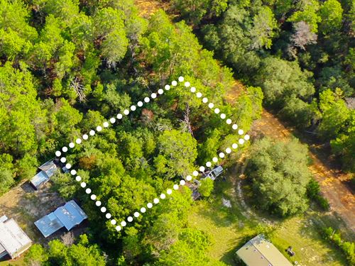 Peaceful Lot Mins to Lake Grandin : Interlachen : Putnam County : Florida