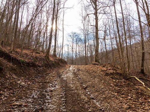 Borders National Forest, $999 Down : Ogle : Clay County : Kentucky