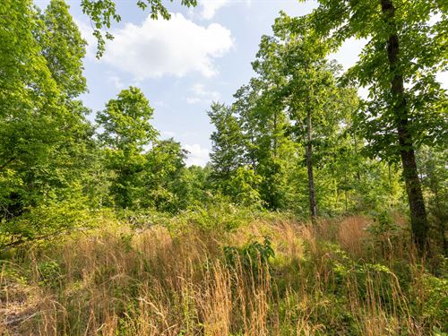 Own Today Just $999 Down : Linden : Perry County : Tennessee