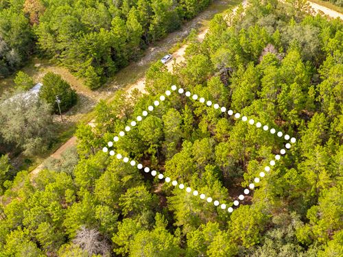 Shaded Lot Mins to Interlachen : Interlachen : Putnam County : Florida