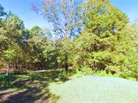 Private 0.38 Acre Lot, Near Lake : Avinger : Marion County : Texas