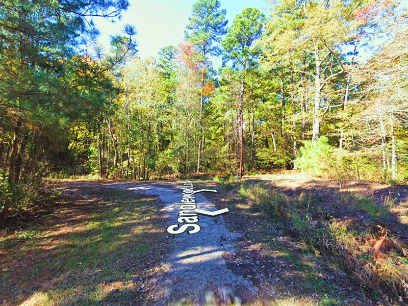 Peaceful Pines Retreat, 0.4 Acres : Avinger : Marion County : Texas