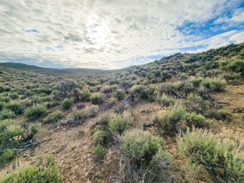 1.03 Acres of Outdoor Paradise : Elko : Nevada