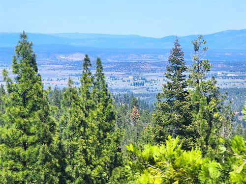 Invest with Camping & Great Views : Alturas : Modoc County : California
