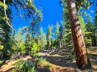 Residential for Mobile & Tiny Home : Alturas : Modoc County : California