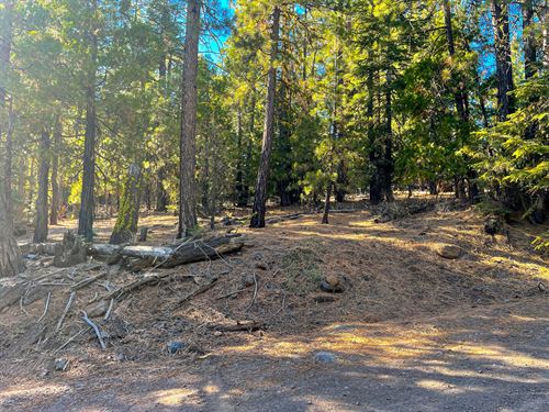 Retire in Mountain with Great View : Alturas : Modoc County : California