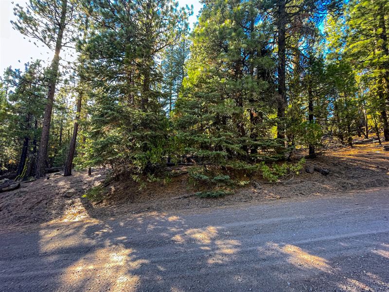 Retire in Mountain with Great View : Alturas : Modoc County : California