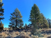 Start Mobile Home in Expansive Land : Chiloquin : Klamath County : Oregon