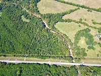 Cedar Creek Highway 21 Tract : Pine Apple : Wilcox County : Alabama