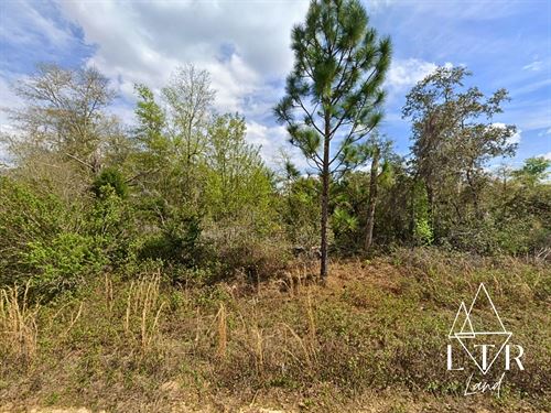 Mobile or Modular Home Ready : Interlachen : Putnam County : Florida