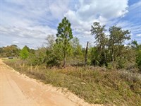 Mobile or Modular Home Ready : Interlachen : Putnam County : Florida