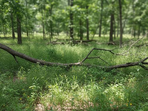 9.95 Acres Near Ardmore OK : Ardmore : Carter County : Oklahoma