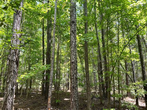 Ever Dreamed of Unrestricted Cou : Ramer : Montgomery County : Alabama