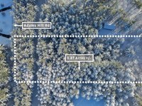 Peaceful Retreat Near Black River : Lowville : Lewis County : New York