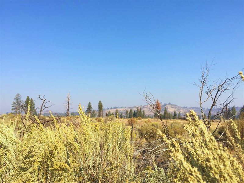 2.4 Acres Near Crater Lake : Klamath Falls : Klamath County : Oregon