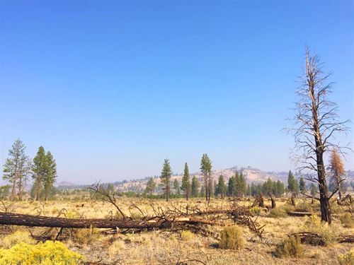 2.4 Acres Near Crater Lake : Klamath Falls : Klamath County : Oregon