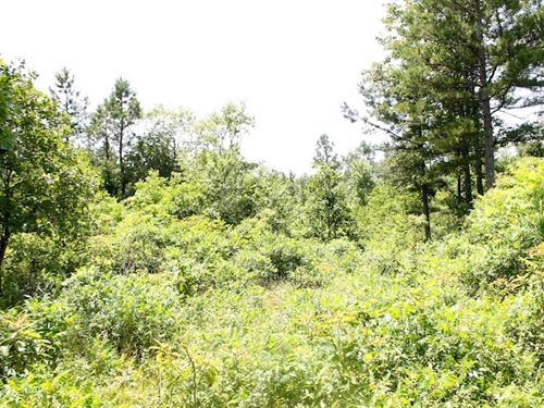 Off Grid Near National Forest : Winona : Shannon County : Missouri