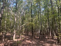 Laurens County Homesite : Honea Path : Laurens County : South Carolina