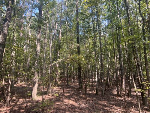 Laurens County Homesite : Honea Path : Laurens County : South Carolina