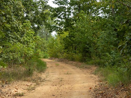 $999 Down Land Perry County : Flatwoods : Perry County : Tennessee