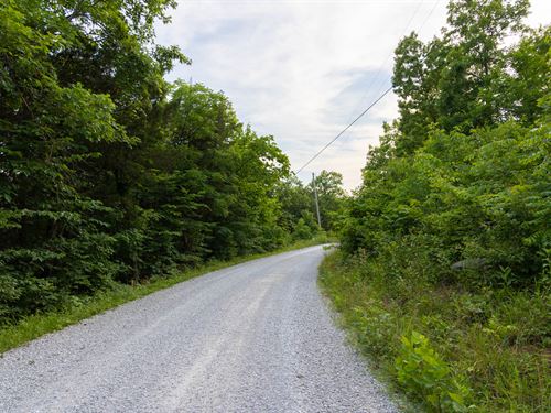 $999 Down Off Grid Land/Steep : Monticello : Wayne County : Kentucky