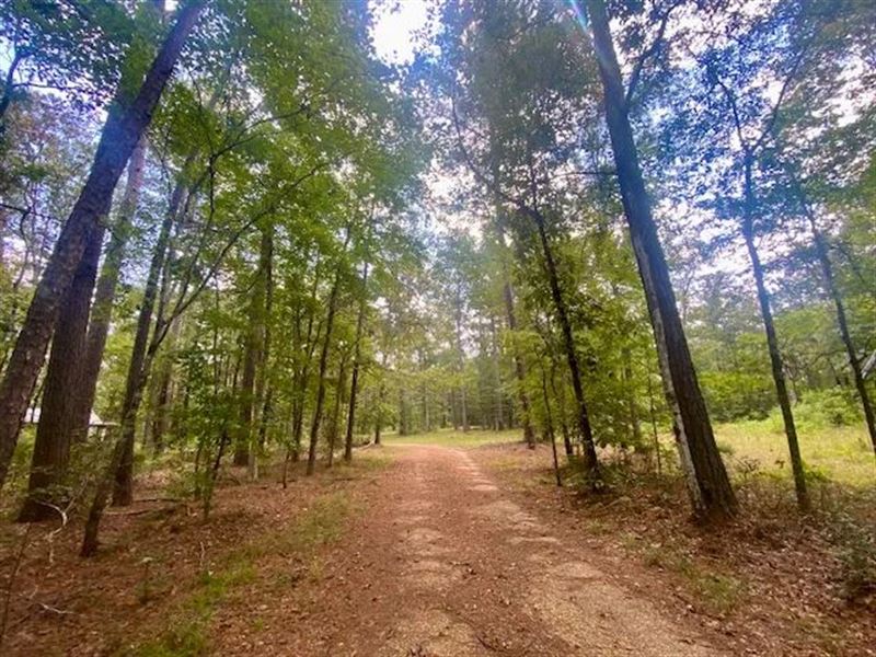 Mobile Home & 13.44 Acres, Summ : Summit : Amite County : Mississippi