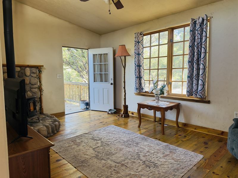 Tiny Retreat : Cotopaxi : Fremont County : Colorado