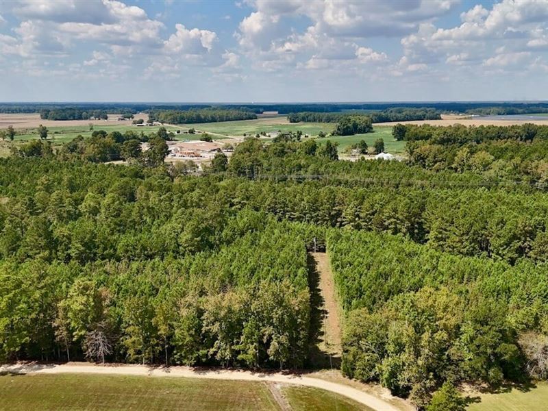 4.19 Acres of Residential Timberlan : Lumberton : Robeson County : North Carolina