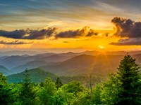 Rare 7Ac High Elevation Franklin NC : Franklin : Macon County : North Carolina