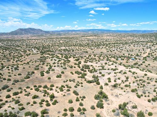 Views That Literally Never End : Abiquiu : Rio Arriba County : New Mexico