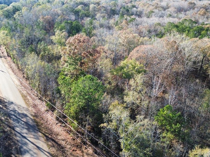 1 Acre Lee County, AL Near Lake : Salem : Lee County : Alabama