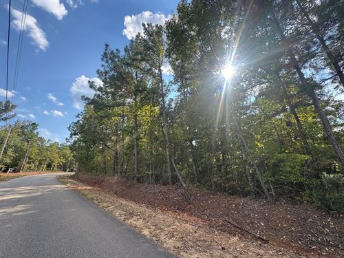 2 Acres Lee County, AL Near Lak : Salem : Lee County : Alabama