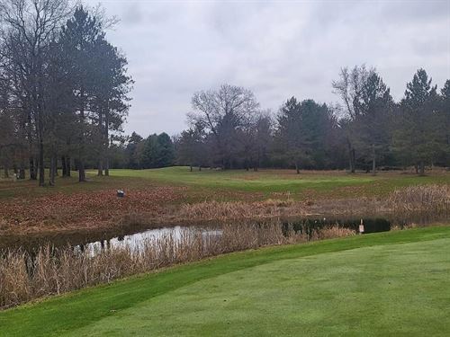 Luxe.73 Acre Garland Woodlands : Mentor Township : Oscoda County : Michigan