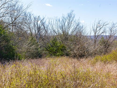 $999 Down Land Near The Lake : Canadian : Pittsburg County : Oklahoma